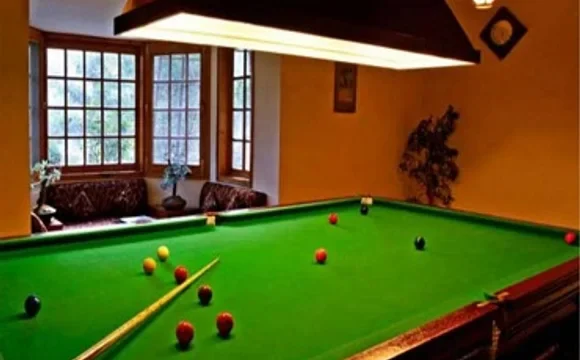 Illustrative illustration of an indoor snooker table at Noble Callista Mohali